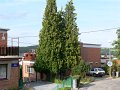 p1190543