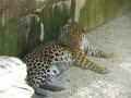 20100707150732