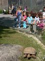 20100707153012