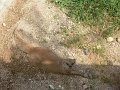 20100707153410