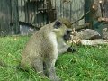20100707160420