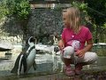 20100707163914
