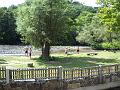 dscn0497
