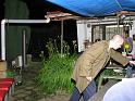 img_1751