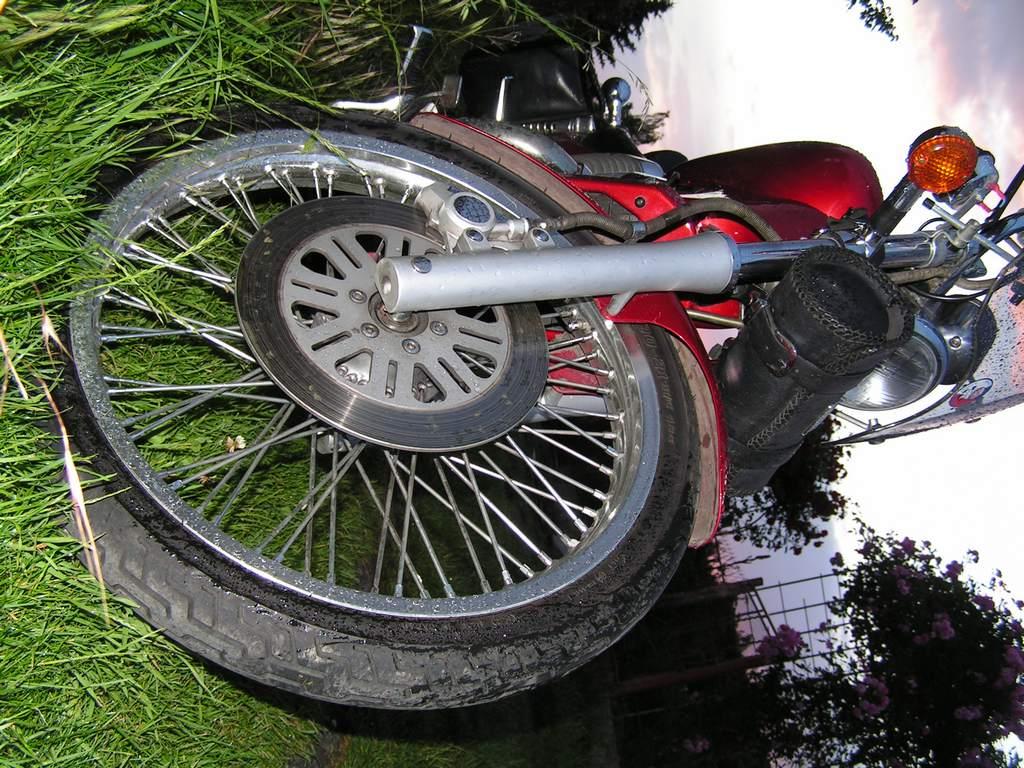 pict4111.jpg
