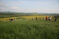 2010-05-22--17-31-58