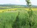 2010-05-22--17-50-30