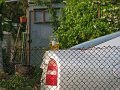 2010-05-22--19-08-47