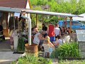 img_6336
