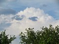 img_6375