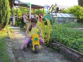 img_6455