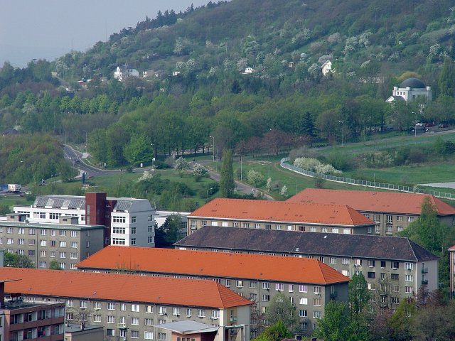 11-dsc03231