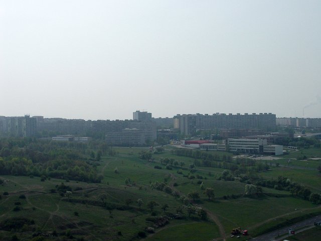 19-dsc03239