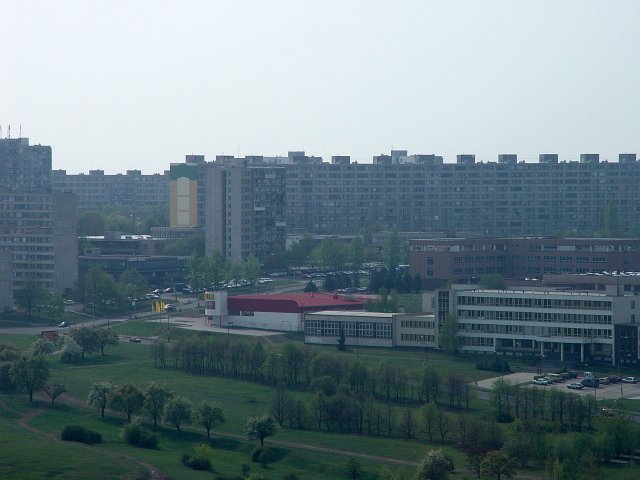 21-dsc03241