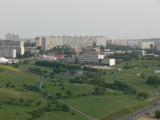 p1140994