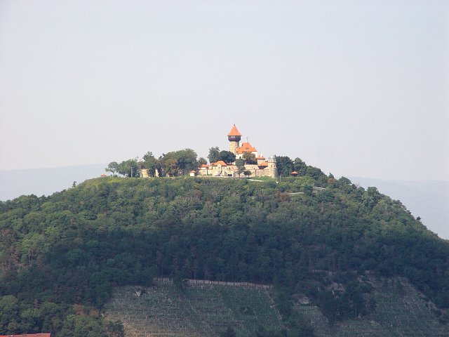 46-dsc01881