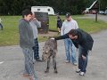 2013-06-29--19-43
