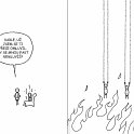 43