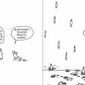 56
