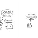 81