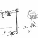 82