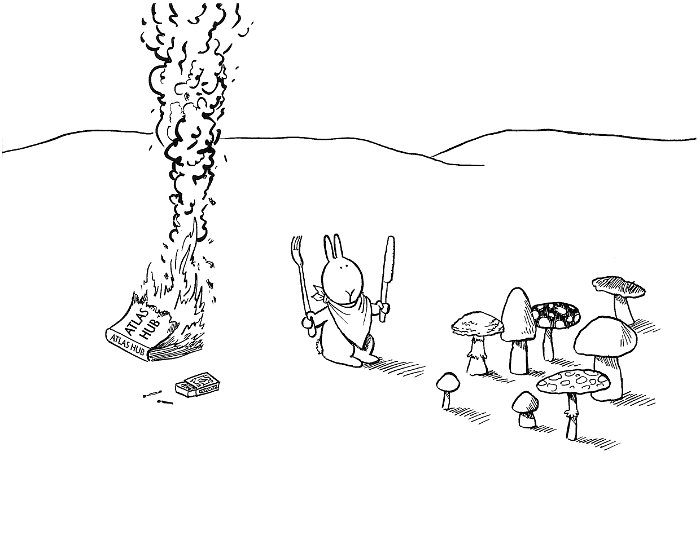 019